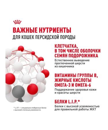 ROYAL CANIN Dry food for Persian cats older than 1 year 2kg - Buy Online on GoSupps.com