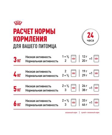 ROYAL CANIN Dry food for Persian cats older than 1 year 2kg - Buy Online on GoSupps.com