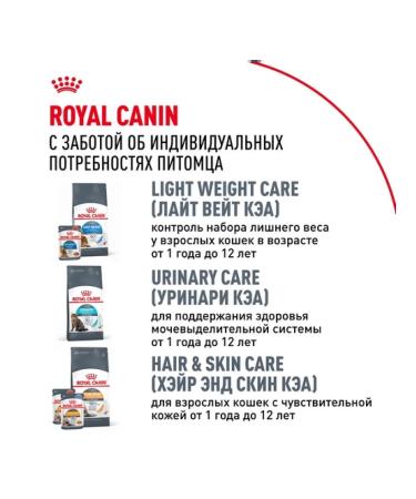 ROYAL CANIN Dry food for cat cats Main-kun 2kg - Buy Online on GoSupps.com