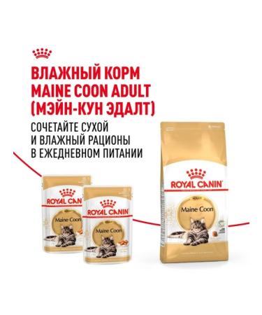 ROYAL CANIN Dry food for cat cats Main-kun 2kg - Buy Online on GoSupps.com