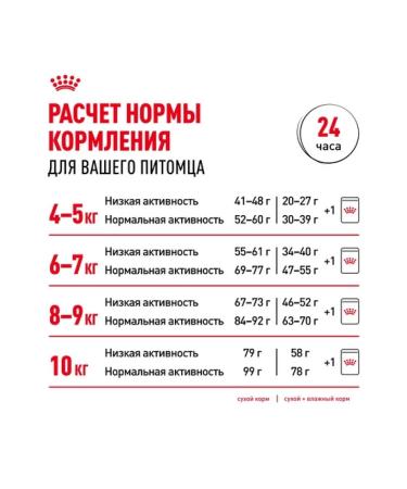 ROYAL CANIN Dry food for cat cats Main-kun 2kg - Buy Online on GoSupps.com