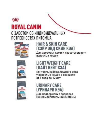ROYAL CANIN Dry food for Siamese cats older than 1 year 2kg - Buy Online on GoSupps.com