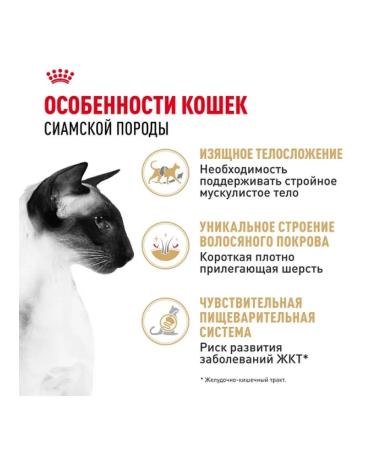 ROYAL CANIN Dry food for Siamese cats older than 1 year 2kg - Buy Online on GoSupps.com