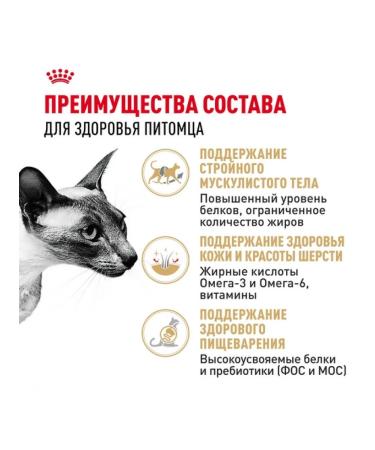 ROYAL CANIN Dry food for Siamese cats older than 1 year 2kg - Buy Online on GoSupps.com