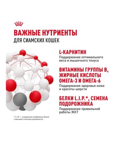 ROYAL CANIN Dry food for Siamese cats older than 1 year 2kg - Buy Online on GoSupps.com