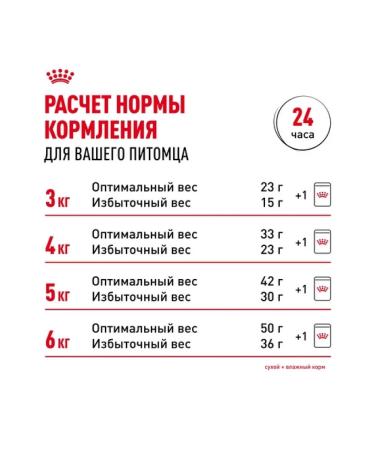 ROYAL CANIN Dry food for Siamese cats older than 1 year 2kg - Buy Online on GoSupps.com