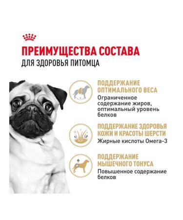 ROYAL CANIN Dry food for adult dogs of the pug breed 7.5 kg - Buy Online on GoSupps.com