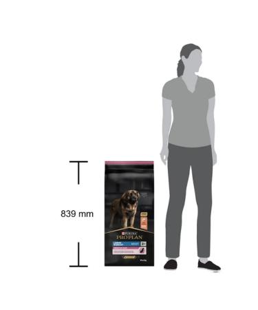 PRO PLAN Dry food for cats to maintain health salmon 1.5 kg - Buy Online on GoSupps.com