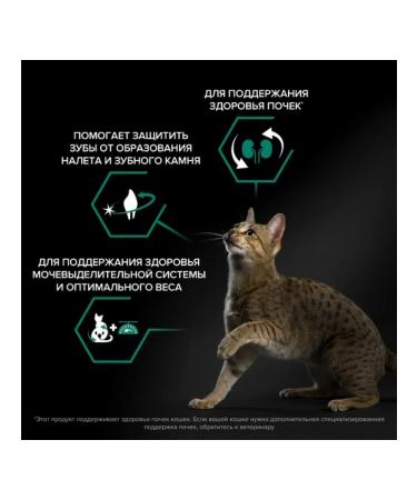 PRO PLAN Feed for sterilized cats with salmon 400 g - Buy Online on GoSupps.com