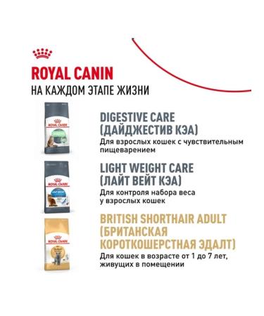 ROYAL CANIN Dry food for kittens of breeds British short -haired 2kg - Buy Online on GoSupps.com
