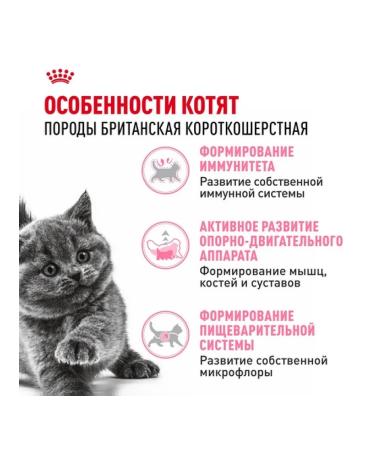 ROYAL CANIN Dry food for kittens of breeds British short -haired 2kg - Buy Online on GoSupps.com