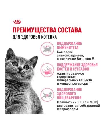 ROYAL CANIN Dry food for kittens of breeds British short -haired 2kg - Buy Online on GoSupps.com