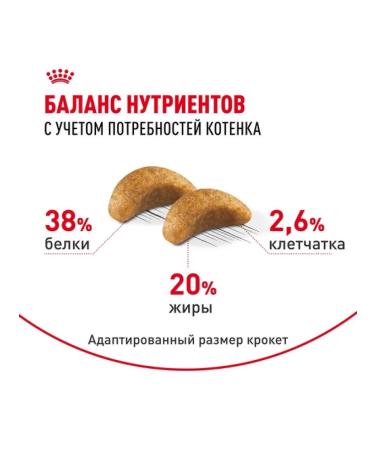 ROYAL CANIN Dry food for kittens of breeds British short -haired 2kg - Buy Online on GoSupps.com