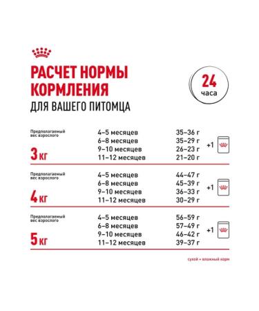 ROYAL CANIN Dry food for kittens of breeds British short -haired 2kg - Buy Online on GoSupps.com