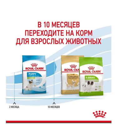 ROYAL CANIN Dry food X-Small Puppy for small breed puppies 3 kg - Buy Online on GoSupps.com
