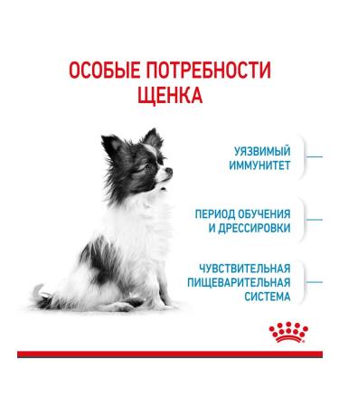 ROYAL CANIN Dry food X-Small Puppy for small breed puppies 3 kg - Buy Online on GoSupps.com