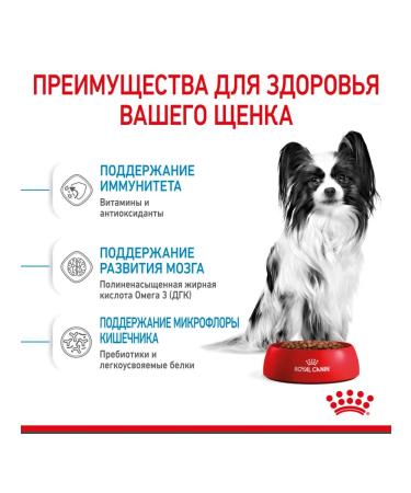 ROYAL CANIN Dry food X-Small Puppy for small breed puppies 3 kg - Buy Online on GoSupps.com