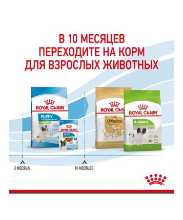 ROYAL CANIN Dry food X-Small Puppy for small breed puppies 3 kg - Buy Online on GoSupps.com