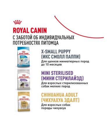 ROYAL CANIN Dry food X-Small Adult for dogs 500 g - Buy Online on GoSupps.com