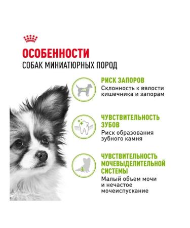 ROYAL CANIN Dry food X-Small Adult for dogs 500 g - Buy Online on GoSupps.com