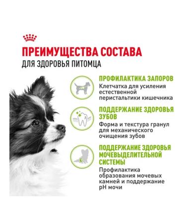 ROYAL CANIN Dry food X-Small Adult for dogs 500 g - Buy Online on GoSupps.com