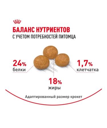 ROYAL CANIN Dry food X-Small Adult for dogs 500 g - Buy Online on GoSupps.com