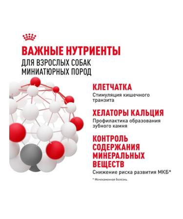 ROYAL CANIN Dry food X-Small Adult for dogs 500 g - Buy Online on GoSupps.com