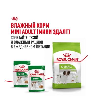 ROYAL CANIN Dry food X-Small Adult for dogs 500 g - Buy Online on GoSupps.com
