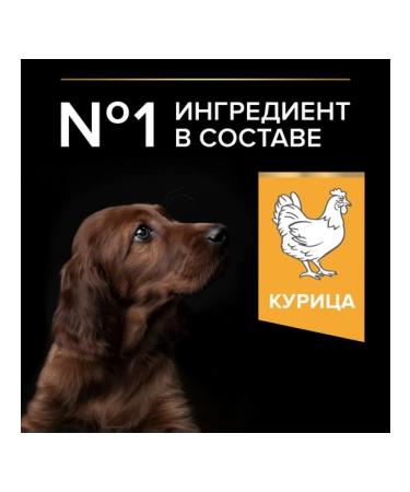 PRO PLAN Dry food for large -breeds Athletic with chicken 12kg - Buy Online on GoSupps.com