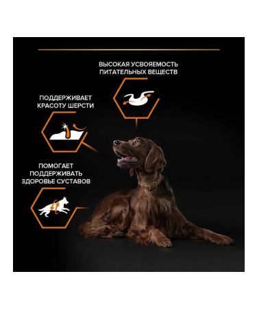 PRO PLAN Dry food for athletic dogs of large breeds chicken 14kg - Buy Online on GoSupps.com