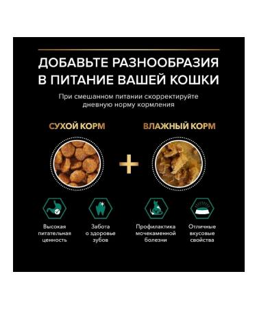 PRO PLAN Feed for sterilized cats with salmon 10 kg - Buy Online on GoSupps.com