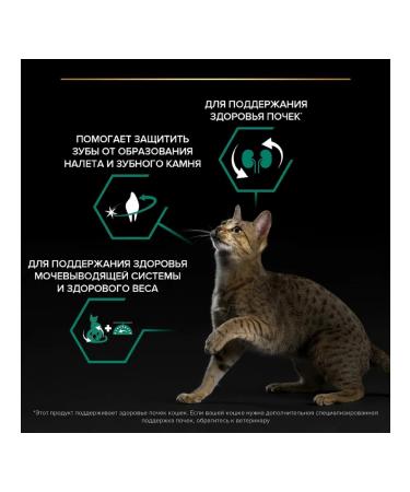 PRO PLAN Feed for sterilized cats with salmon 10 kg - Buy Online on GoSupps.com