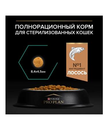 PRO PLAN Feed for sterilized cats with salmon 10 kg - Buy Online on GoSupps.com