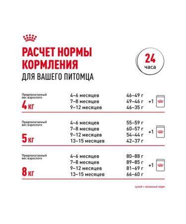 ROYAL CANIN Dry food for kittens of the Main Kun breed up to 15 months 2kg - Buy Online on GoSupps.com