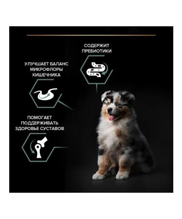 PRO PLAN Feed for puppy medium rocks sensitive gastrointestinal tract lamb 3kg - Buy Online on GoSupps.com