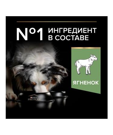 PRO PLAN Medium -sized dog feed sensitive gastrointestinal tract lamb 3kg - Buy Online on GoSupps.com