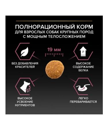 PRO PLAN Dry food Large Robust Adult Sensitive Skin Salmon 14 kg - Buy Online on GoSupps.com