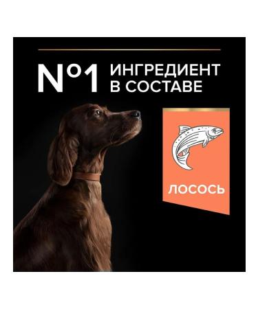 PRO PLAN Dry food Large Athletic Adult Sensitive Skin Salmon 14 kg - Buy Online on GoSupps.com