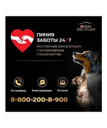 PRO PLAN Kittens with sensitive digestion of a turkey 3kg - Buy Online on GoSupps.com