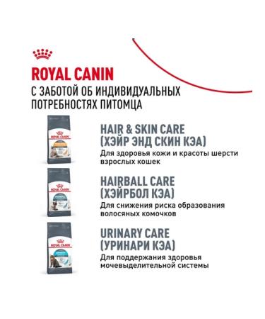 ROYAL CANIN Dry food for adult cats of Siberian breed 2kg - Buy Online on GoSupps.com
