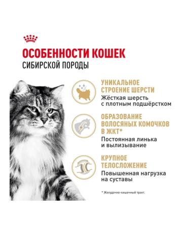 ROYAL CANIN Dry food for adult cats of Siberian breed 2kg - Buy Online on GoSupps.com