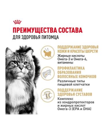 ROYAL CANIN Dry food for adult cats of Siberian breed 2kg - Buy Online on GoSupps.com