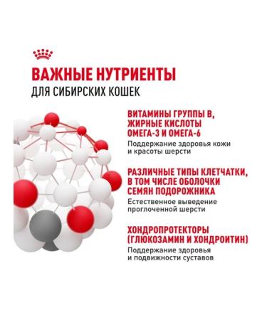 ROYAL CANIN Dry food for adult cats of Siberian breed 2kg - Buy Online on GoSupps.com
