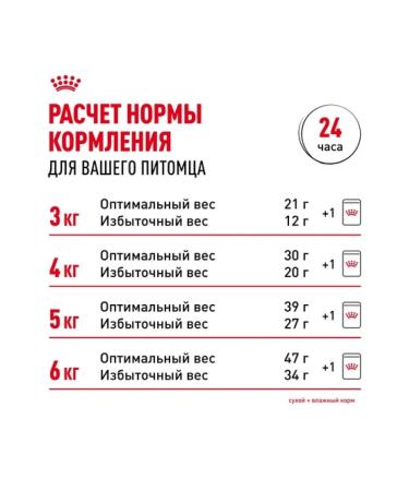 ROYAL CANIN Dry food for adult cats of Siberian breed 2kg - Buy Online on GoSupps.com