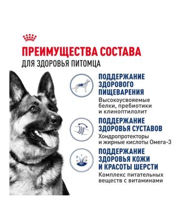 ROYAL CANIN Dry food Maxi Adult for dogs of large breeds 3 kg - Buy Online on GoSupps.com