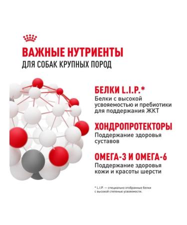 ROYAL CANIN Dry food Maxi Adult for dogs of large breeds 3 kg - Buy Online on GoSupps.com