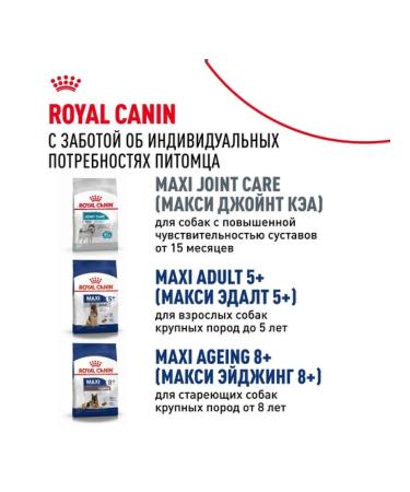 ROYAL CANIN Dry food Maxi Adult for dogs of large breeds 3 kg - Buy Online on GoSupps.com