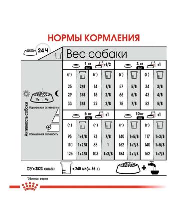 ROYAL CANIN Dry food mini urinary Care for dogs of small breeds 1 kg - Buy Online on GoSupps.com