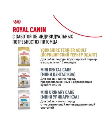 ROYAL CANIN Dry food for elderly dogs of the breed Yorkshire Terrier 1.5 kg - Buy Online on GoSupps.com