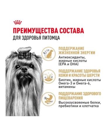 ROYAL CANIN Dry food for elderly dogs of the breed Yorkshire Terrier 1.5 kg - Buy Online on GoSupps.com